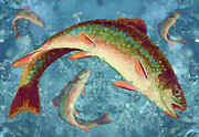 Rainbow Brook Trout Freshwater Fish Painting  Mixed Media by Shelli Fitzpatrick