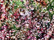 Raindrops in a spiderweb with tree lichen background Digital Art by Bruce Block
