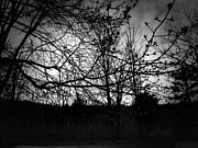Raindrops in the Dark Photograph by Onedayoneimage Photography Raindrops in the Dark Photograph by Onedayoneimage Photography