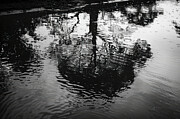 Rainy Day Reflections Photograph by Bill Posner
