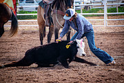 Ranching Photograph by Kelly Markus