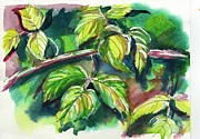 Raspberry Leaves Painting by Tammy Nara