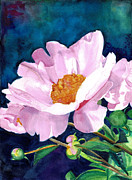 Reach For The Sun Painting by Daniela Easter