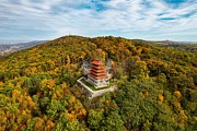 Reading Pagoda in Fall Photograph by Alexa Freyman