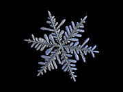 Real snowflake 2018-12-18_1 Photograph by Alexey Kljatov