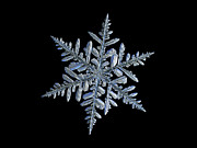 Real snowflake 2018-12-18_3 Photograph by Alexey Kljatov