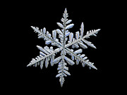 Real snowflake 2018-12-18_4 Photograph by Alexey Kljatov