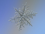 Real snowflake 2018-12-18_8843-52 Photograph by Alexey Kljatov