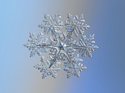 Real snowflake 2021-02-11_1 Photograph by Alexey Kljatov