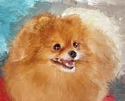 Red Carpet Pomeranian Digital Art by Lois Bryan