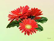 Red Gerbera Daisy Trio Photograph by Susan Savad Red Gerbera Daisy Trio Photograph by Susan Savad