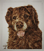 Red-Golden Retriever Pyrography by Terri Mills Red-Golden Retriever Pyrography by Terri Mills