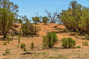 Red Landscape 2 Photograph by Werner Padarin
