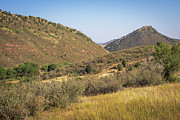 Red rocks observation no. 394 Photograph by Jonathan Babon