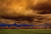 Red Rocks of Nevada Photograph by David Patterson