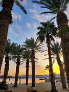 Red Sea Sunset Photograph by Andrea Whitaker Red Sea Sunset Photograph by Andrea Whitaker