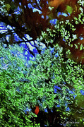 Reflection 3 Digital Art by Stocksom Art Prints
