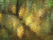 Reflection Photograph by Lynn Wohlers
