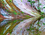 Reflection Photograph by Mae Wertz
