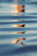 Sea Reflection 1 Photograph by Stelios Kleanthous