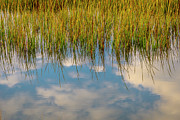 Reflections in a Salt Marsh Photograph by W Chris Fooshee