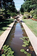 Reflections Photograph by Laurie Lago Rispoli