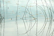 Reflexion d'eau Digital Art by Dominique Lecomte