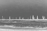 Regatta BW Photograph by Az Jackson