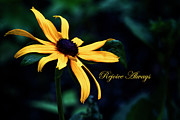 Rejoice Always Photograph by Denise Harty Rejoice Always Photograph by Denise Harty