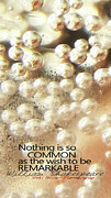 Remarkable Bubbles Photograph by Vicki Ferrari