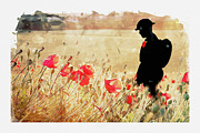 Remember Them Digital Art by Airpower Art