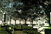 Remembering Trees Digital Art by Brandi Untz Remembering Trees Digital Art by Brandi Untz