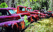 Resting In The Rain Mixed Media by DB Hayes