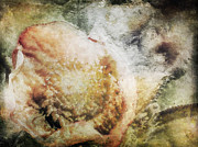 Restless Digital Art by Krista Droop