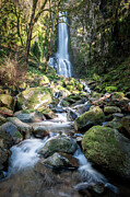 Rhythm Photograph by Ryan Weddle