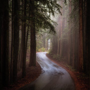 Ridgecrest Boulevard, Mt. Tam Photograph by Donald Kinney