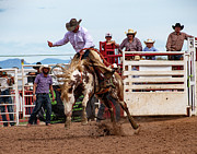 Riding out the Bronc Photograph by Kelly Markus