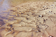 Ripples in the Sandy Creek Photograph by Kathi Mirto