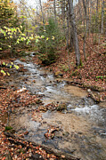 River Flowing through an Autumn-Coloured Forest Photograph by John Twynam River Flowing through an Autumn-Coloured Forest Photograph by John Twynam