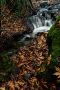 River flowing with maple leaves on the rocks on the riverside in autumn season Photograph by Michalakis Ppalis