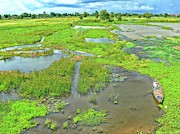 River landscape of Cambodia Photograph by Robert Bociaga