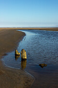 River to The Sea Photograph by Ana V Ramirez River to The Sea Photograph by Ana V Ramirez