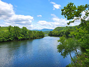 River Trees Photograph by Cindy's Creative Corner