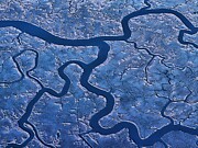 River Vains Photograph by Stephen Dorton