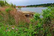 Riverside Tranquility - Wildflowers, Weathered Dock, and Overcast Skies Photograph by Brigitte Blanchette Thompson Riverside Tranquility - Wildflowers, Weathered Dock, and Overcast Skies Photograph by Brigitte Blanchette Thompson