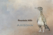 Roadrunner Fountain Hills Arizona Mixed Media by Elisabeth Lucas