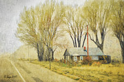 Roadside Cabin Digital Art by Rebecca Langen