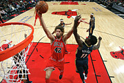 Robin Lopez Photograph by Gary Dineen