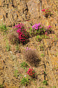 Rock Cutting 1 Photograph by Werner Padarin