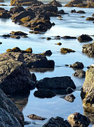 Rocky Shoreline Photograph by Leslie Brashear